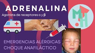 ADRENALINA Y CHOQUE ANAFILÁCTICO Farmacología [upl. by Okkin]