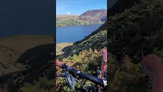 Crag Fell Decent mountainbikingmtb steepsdownhill mtbjumpsenduromtbfellautumn vitus orbea [upl. by Diahann]