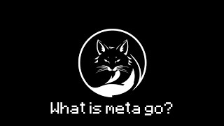 What is Meta Go [upl. by Eilsel]