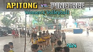 Apitong vs Pinetree Volleyball Poblacion Summer League 2024 Women [upl. by Dollie]