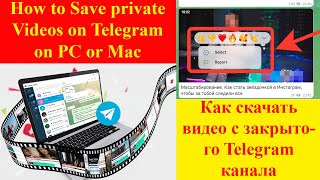 Как скачать защищенное видео с telegram  how to download private video from telegram [upl. by Brazee]