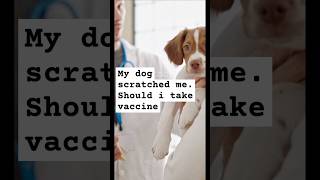 Dog Bites  When You Need a Rabies Shot  Dog Scratch [upl. by Demetria]