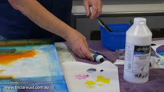 Tricia Reust Instructional Video  Special Session for Colour In Your Life [upl. by Honniball588]