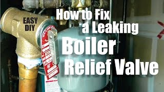 How to Repair a Leaking Boiler Relief Valve Easy DIY [upl. by Haroppiz]