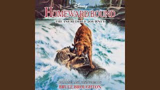 Homeward Bound Revised [upl. by Telfer]