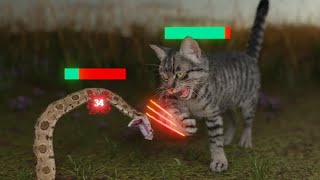 How Cats Broke The Game [upl. by Aronoff]