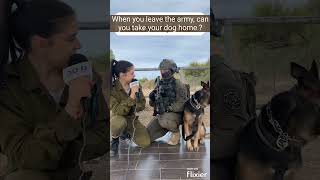 Oketz IDF K9 unit soldier and her dog  k9 dog idf israel shorts [upl. by Gunter]