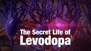 The Secret Life of Levodopa [upl. by Pillyhp374]