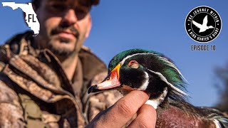 Duck Hunting Florida  Wood Duck Mottled Duck and Much More  The Journey Within Waterfowl Slam [upl. by Colpin471]