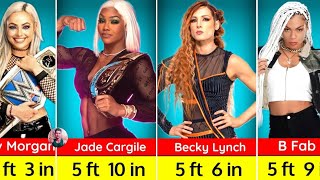 Female Wrestlers Height Comparison  WWE WRESTLER DATA [upl. by Montagna543]