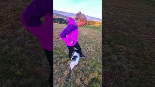 Cirkus Humberto🥰❤️🐶protebe viralvideodogfunny love foryou nice romanticbeauty animalshit [upl. by Dari]