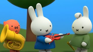 Miffy Starts a Band  Miffy  Cartoons for Kids [upl. by Anaujat]