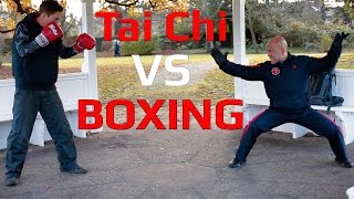 Tai Chi vs Boxing [upl. by Cavil290]