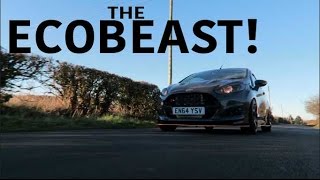 THE ECOBEAST  180BHP Turbo Fiesta ZS Review [upl. by Katina]