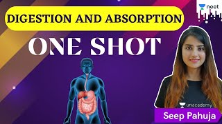 NEET Digestion and Absorption  One Shot  Biology  Unacademy NEET  Seep Pahuja [upl. by Anertak]