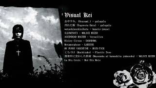 the vkei playlist ever [upl. by Keese]