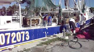 Shrimp Boat Stock Island Florida Keys [upl. by Bassett960]