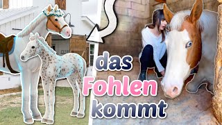 Wir bekommen ein Fohlen 🥹 Der Rosenhof in Die Sims 4  ViktoriaSarina [upl. by Ainevuol]