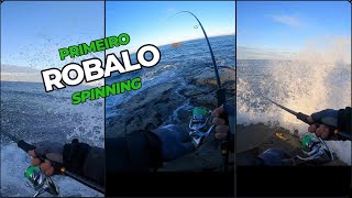 Primeiro Robalo ao SPINNING🐟 [upl. by Traggat]