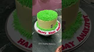 Chhota Bheem cake decorate ￼🎂😎 cake cakedecoration shriradhebakery cakedesign mahipalvloger [upl. by Forest]