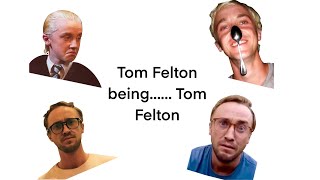 Tom Felton being…………Tom Felton [upl. by Grimona]