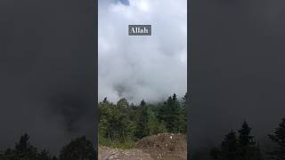 Mumino ka bayan✨🌄 translationquranandislam shortsfeed dinkibaten trendingvideo islamicvideo [upl. by Attoynek15]