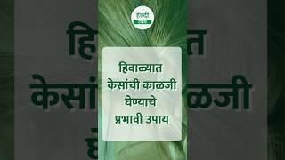 हिवाळ्यात केसांची काळजी घेण्याचे प्रभावी उपाय haircaretips केसांचीकाळजी marathi [upl. by Rist]