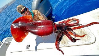 I Caught a Giant Squid in the Middle East [upl. by Leruj]