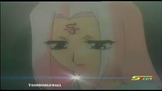 Shin Hakkenden Hindi Opening Song Anime Spacetoon India [upl. by Jobey]