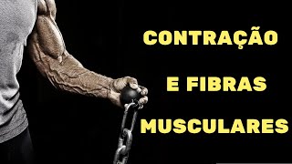 Tipos de contração e fibras musculares – Fisiologia Humana [upl. by Repsihw]