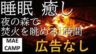 眠れない夜に焚き火を眺める 途中広告無し 虫の音 木々のざわめき 超高音質 ASMR 眠れる BGM CAMP 作業BGM [upl. by Burgess259]