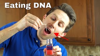 Is it Dangerous To Eat Pure DNA Extracting and Eating Pure DNA [upl. by Braden]