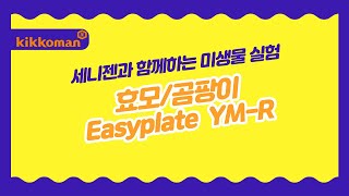 세니젠과 함께하는 미생물 실험 효모곰팡이EasyPlate YMR [upl. by Nyloc246]