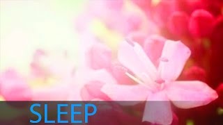 8 Hour Deep Sleep Music Inner Peace Help Beat Insomnia Delta Waves Sleeping Music ☯160 [upl. by Server222]