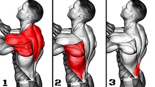 Back Workouts for Growing Upper Mid amp Lower Back [upl. by Sofer473]