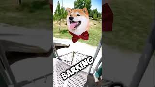 WAKE UP ⚠️ IF YOU SEE THIS SCARY DOG BARKING BEHAVIOUR٫ RUN AWAY 🐕‍🦺 shorts [upl. by Ahsirat]