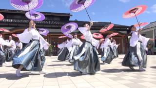 舞幻 さん ♪瞬輝無心～未来へ～ 総湯前会場 能登よさこい 2014 よさこい [upl. by Aleunamme660]