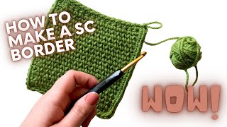 How To Single Crochet a Blanket Border  PERFECT FOR BEGINNERS [upl. by Redneval900]