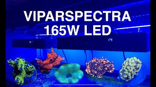 VIPARSPECTRA 165W Settings Schedule Spectrum Setup Light Saltwater Coral Reef Aquarium [upl. by Killarney820]