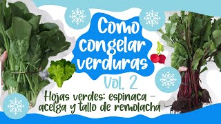 Congelar verduras en casa  Vol 2 Espinaca acelga hojas de remolacha [upl. by Mccarty478]