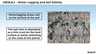 4 12B168 CV2 Water Logging and Soil Salinity [upl. by Settera393]