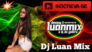 Reggae Rmx Medley 3 Romântico Dj Luan Mix [upl. by Lleval321]