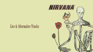 Nirvana  Incesticide Full Album Live amp Alternative Tracks [upl. by Gnivri]