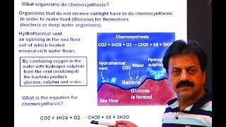 First Year  Chapter 12  Nutrition  Part 2  Chemotrophic Nutrition  Chemosynthesis [upl. by Ollehto956]