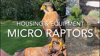 FALCONRY Micro Raptors housing and furniture [upl. by Cand124]