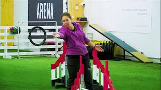 International Agility Training Week  Practicing the Whisky Cross  Part Three  preview [upl. by Trebleht]