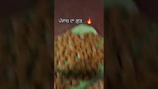 ਪੰਜਾਬ ਦਾ ਗੁੜ nature shortsfeed shortsvideos shorts nripunjabi nripost punjabimusicindustry [upl. by Eaned]