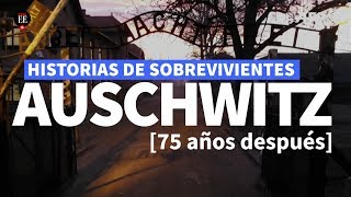 Auschwitz historias de sobrevivientes al holocausto 75 años después  El Espectador [upl. by Eniarrol]