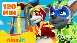 PAW Patrol Become Police Pups w Chase Marshall Rocky amp Skye  1 Hour Compilation  Nick Jr [upl. by Ellehcsor87]