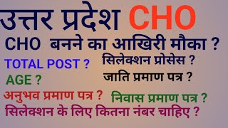 UP CHO NEW VACANCY 2024  UP CHO ONLINE EXAM 2024  जाति प्रमाण पत्र [upl. by Anayik547]